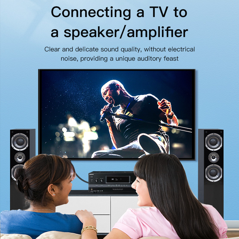 CHOSEAL RCA Cable Digital Coax - Home Cinema Player ulasan dan harga